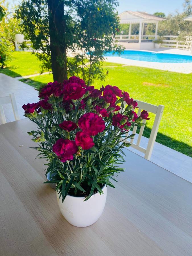 Chanel Garden Relaxation Home 福尔梅洛 外观 照片