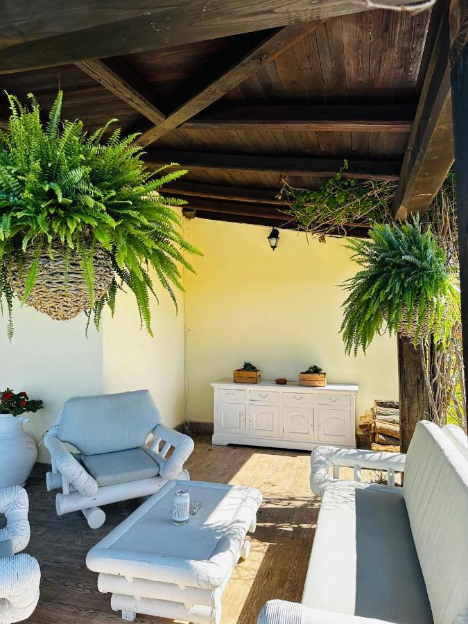 Chanel Garden Relaxation Home 福尔梅洛 外观 照片
